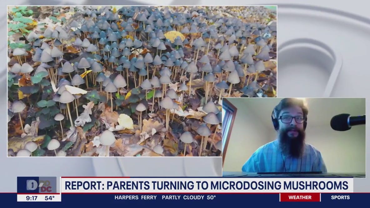Parents turning to microdosing mushrooms